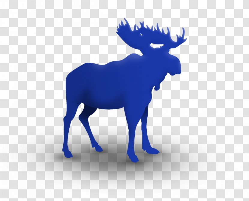 Moose On The Loose Family Fun Run & 5K Deer Birthday Clip Art - Wildlife - MOOSE Transparent PNG