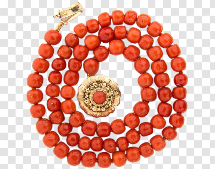 Bead Orange Gemstone Red Coral - Casket Transparent PNG