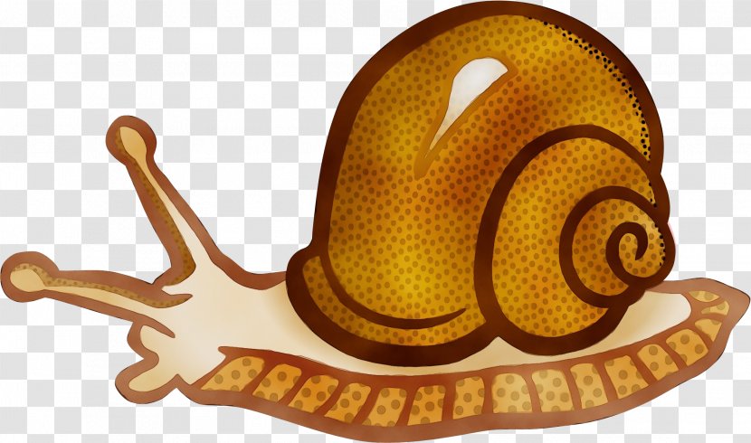 Snail Cartoon - Watercolor - Molluscs Sea Transparent PNG