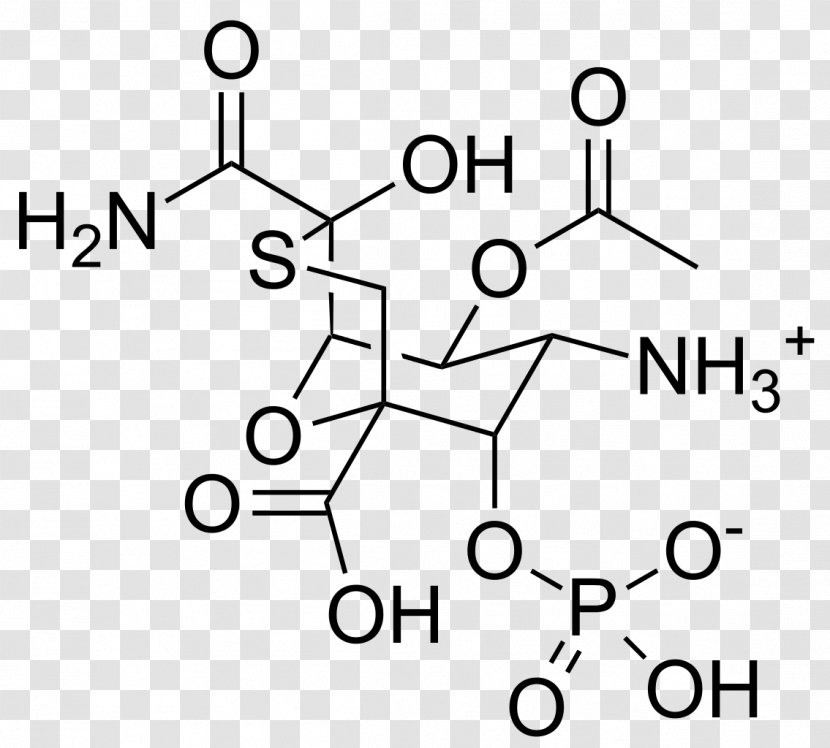 Acetylcysteine Amino Acid 2,5-Furandicarboxylic - Flower - R J Mitchell Transparent PNG