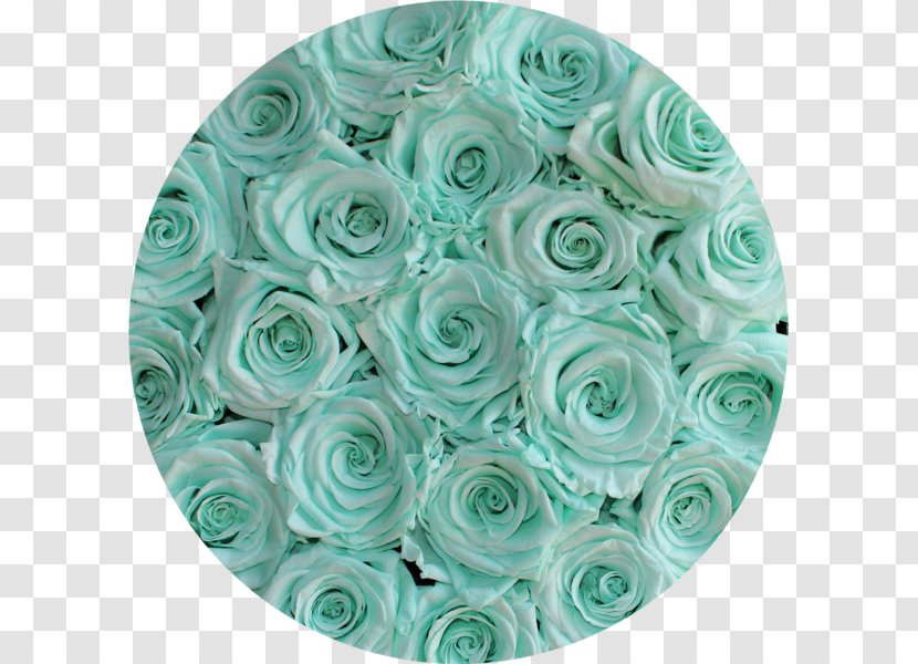 Cut Flowers Turquoise Petal - Aqua Transparent PNG