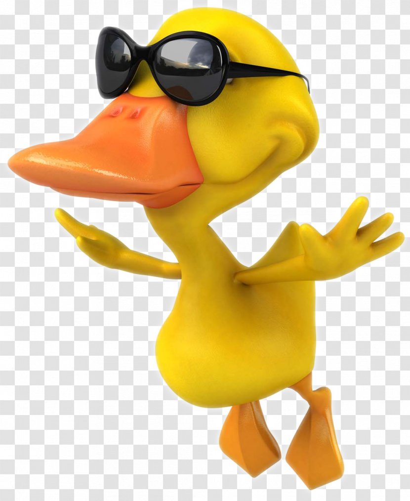 Duck Mallard Cartoon Stock Photography Clip Art - Headgear - Pictures Transparent PNG