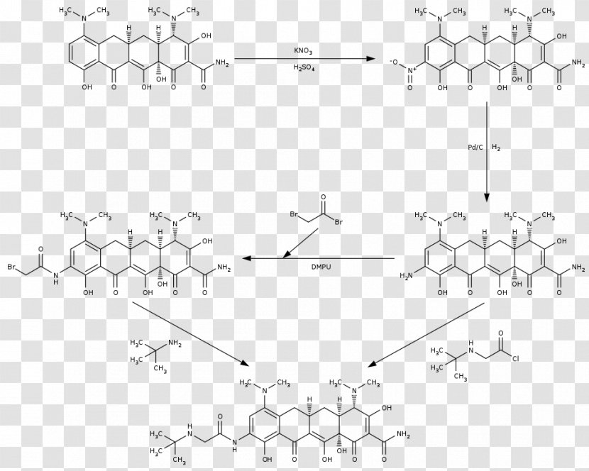 Rhododendron Chemistry Tigecycline Structure - Frame - Synthesis Transparent PNG