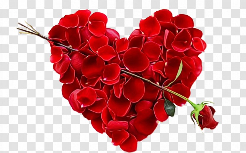 Happy Valentine Day - Message - Perennial Plant Geranium Transparent PNG