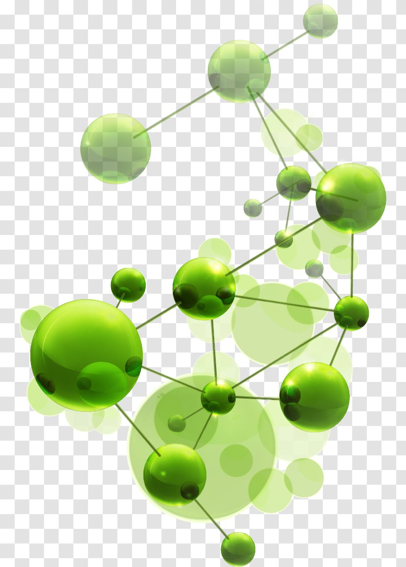 Molecule Chemistry Engineering Technology Science - Fruit - Ginseng Transparent PNG