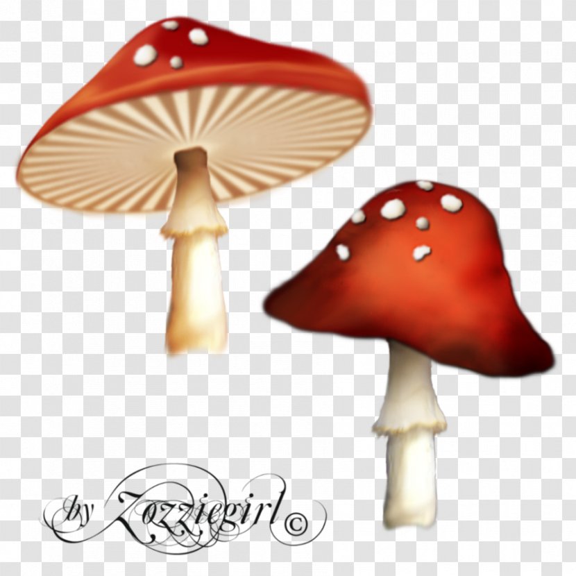 Psilocybin Mushroom Clip Art - Drawing - Poisonous Red Transparent PNG