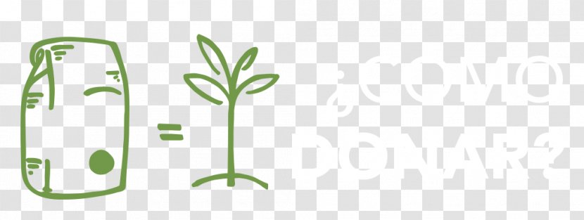 Leaf Plant Stem - Tree - Mellow Coffee Transparent PNG