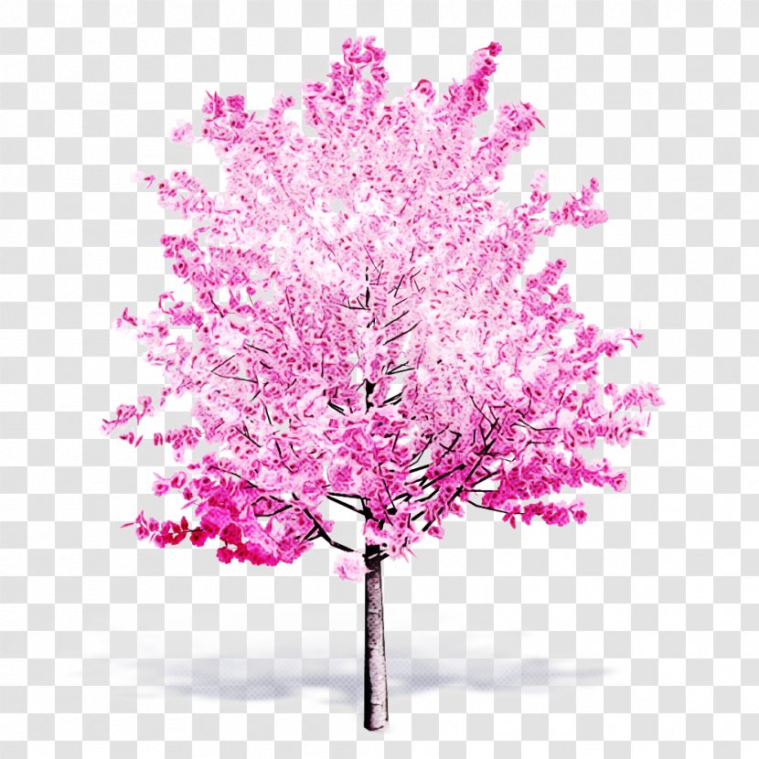 Pink Tree Red Bud Plant Flower - Blossom Twig Transparent PNG