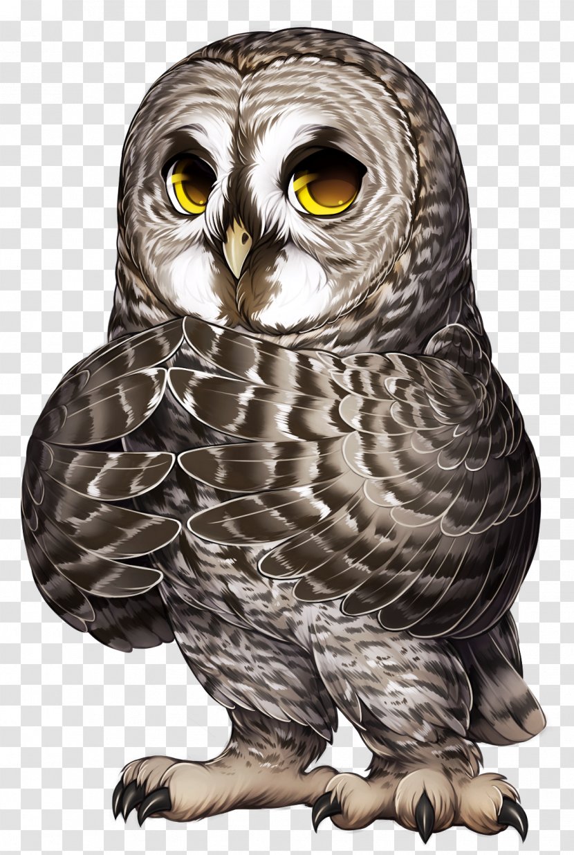 Owl Bird Of Prey Great Grey Western Screech - Eastern Wildlife Transparent PNG