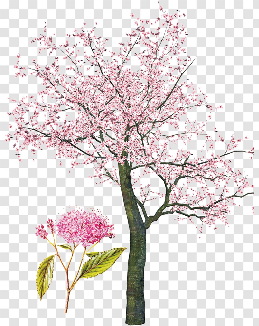 Tree Spring Clip Art - Pink Cherry Transparent PNG