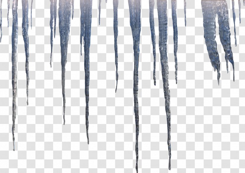 Icicle Wood /m/083vt White - Tree Transparent PNG