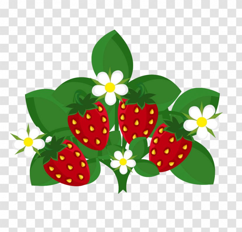 Strawberry Fruit Euclidean Vector Illustration - Flower Transparent PNG