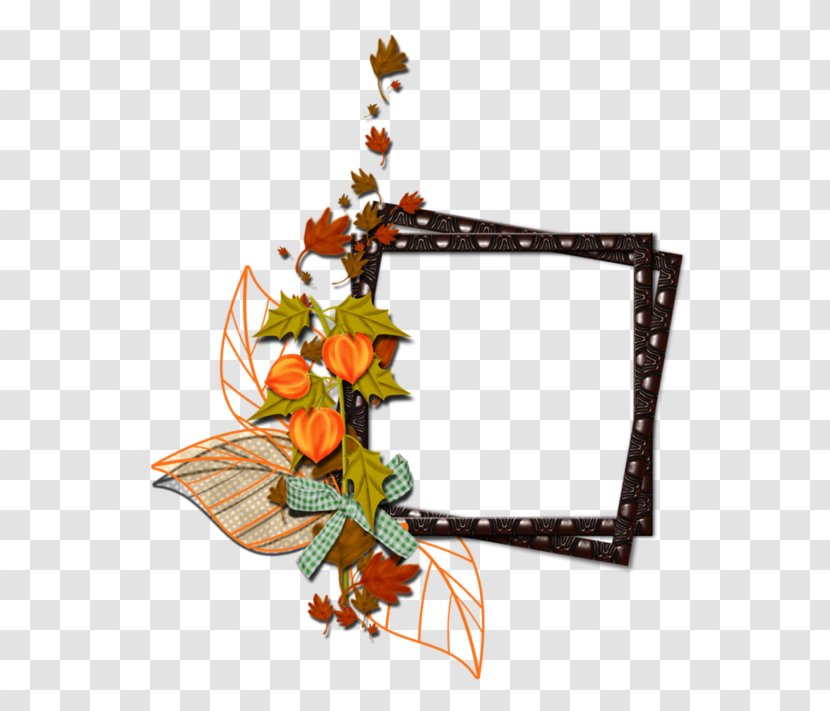 Picture Frames Clip Art - Cut Flowers - Floral Design Transparent PNG