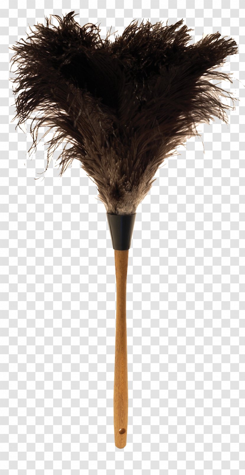 Feather Duster Common Ostrich - Feathers Transparent PNG