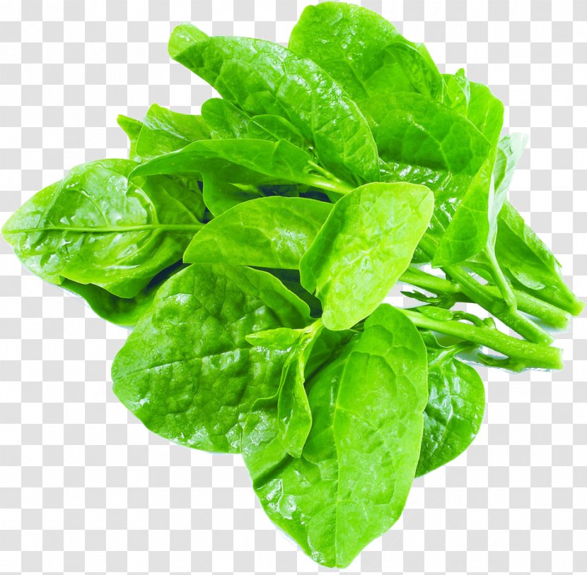 Choy Sum Malabar Spinach Leaf Vegetable - Food Transparent PNG