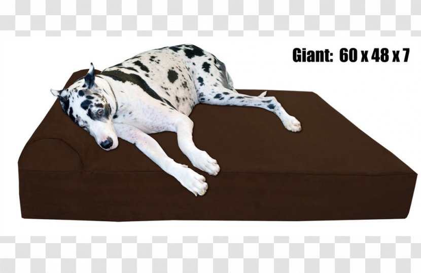 Great Dane Bed Pet Big Barker Dog Breed - Orthopedic Pillow Transparent PNG