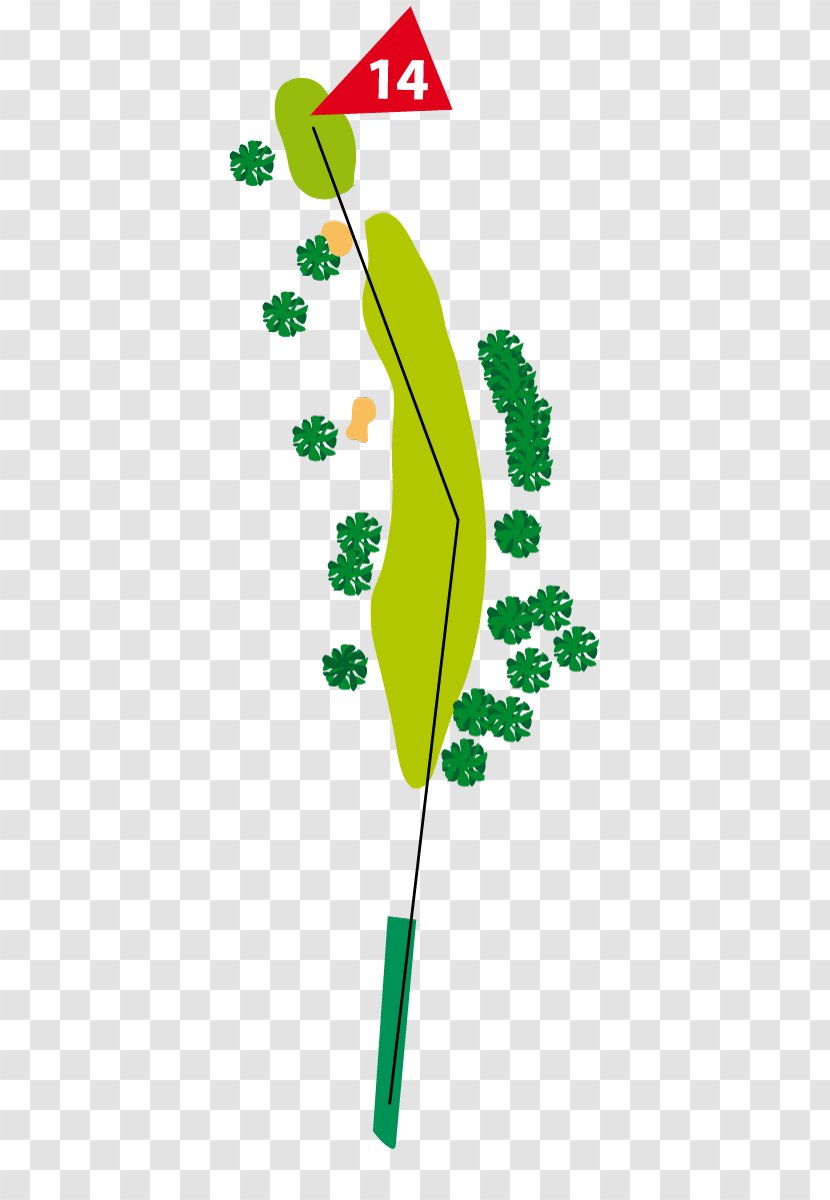 Clip Art Leaf Illustration Plant Stem Line - Elderly Driving Range Transparent PNG