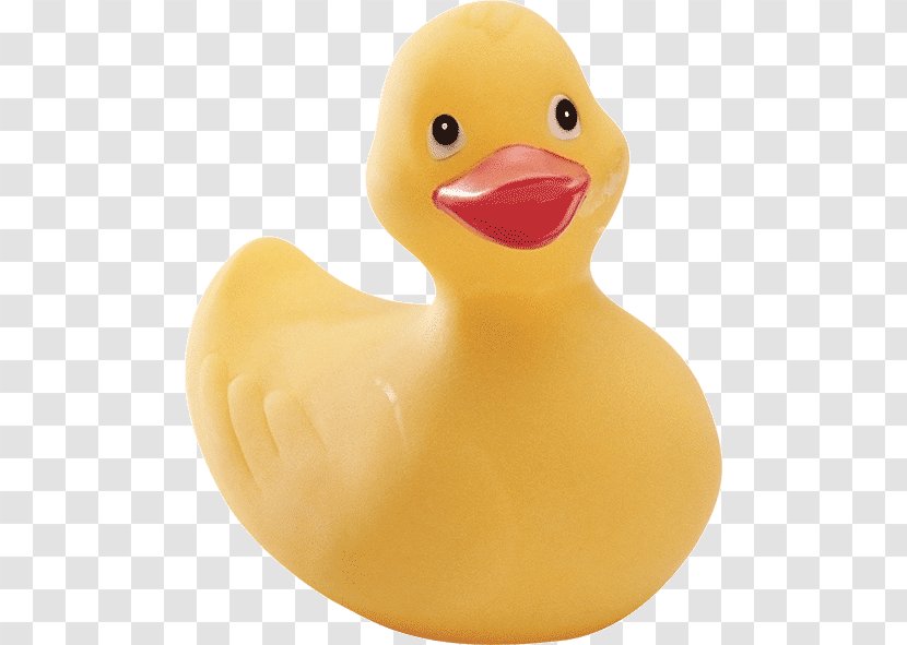 Rubber Duck Natural Polymer Hoots The Owl Transparent PNG