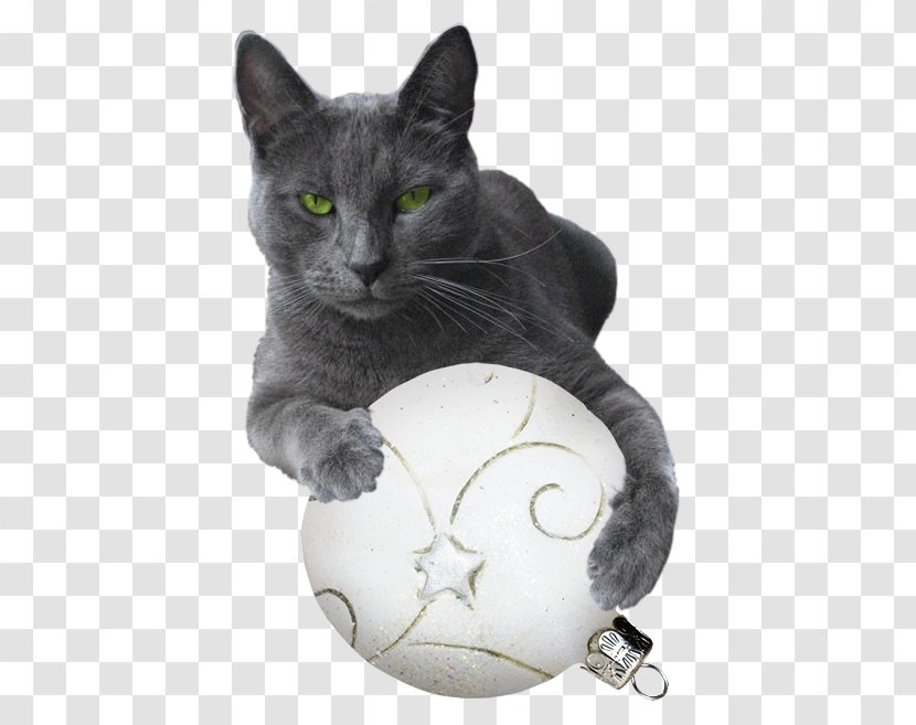 Black Cat Kitten Clip Art - Breed Transparent PNG