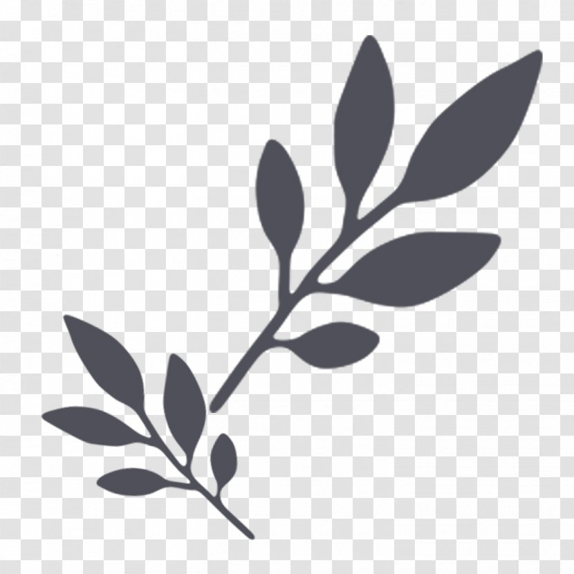 Desktop Wallpaper - Flora - Chinese Herb Transparent PNG