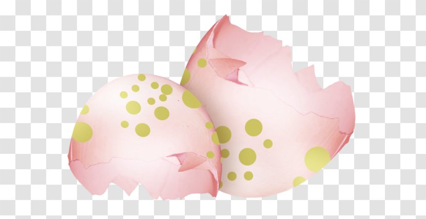 Chicken Egg - Eggshell - Broken Shell Pattern Transparent PNG