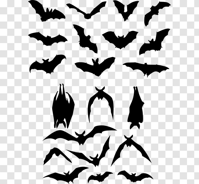Bat Silhouette - Beak Transparent PNG