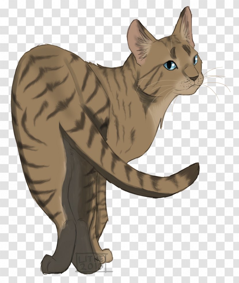 The Rise Of Scourge Warriors Littlecloud Erin Hunter Cinderpelt - Jayfeather - Lithe Transparent PNG