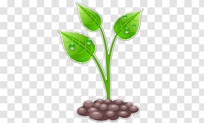 Vector Graphics Stock Photography Clip Art Image - Gardening - Plant Transparent PNG