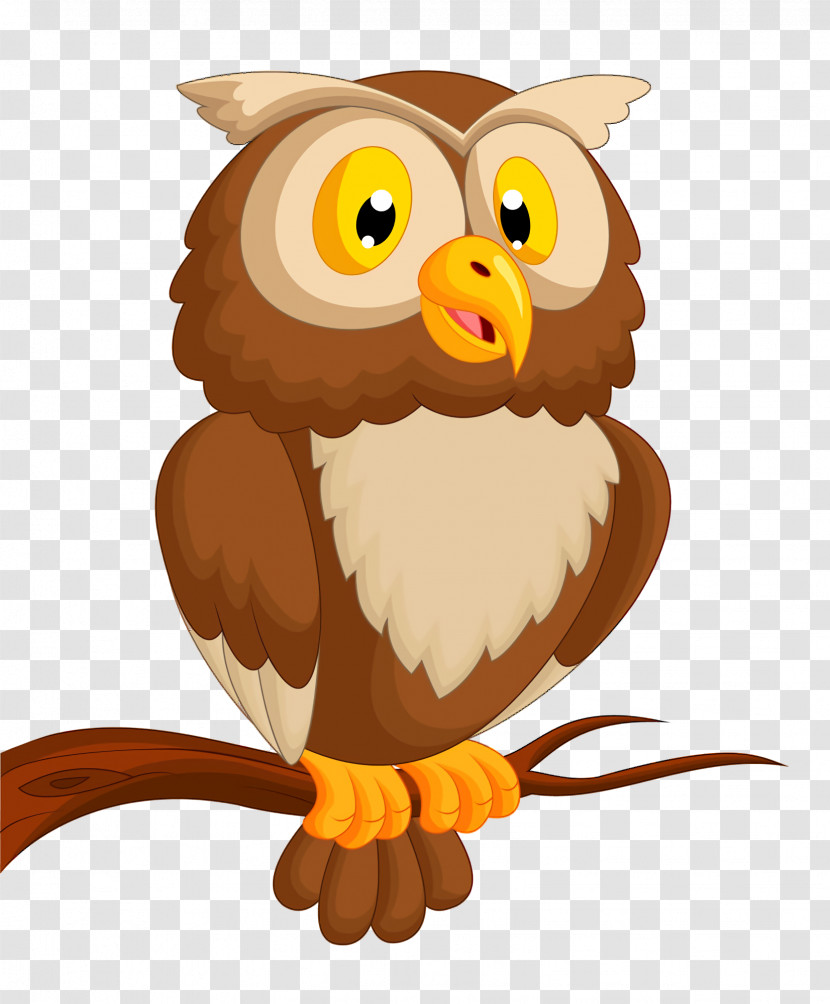 Owl Bird Cartoon Bird Of Prey Beak Transparent PNG
