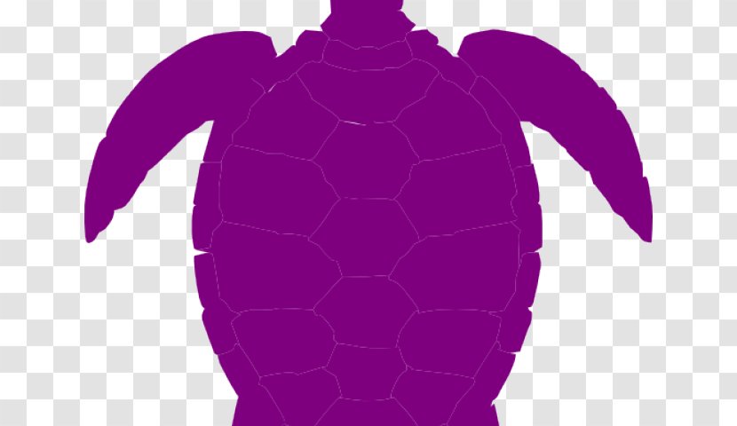 Sea Turtle Clip Art Reptile Creatures - In Net Transparent PNG