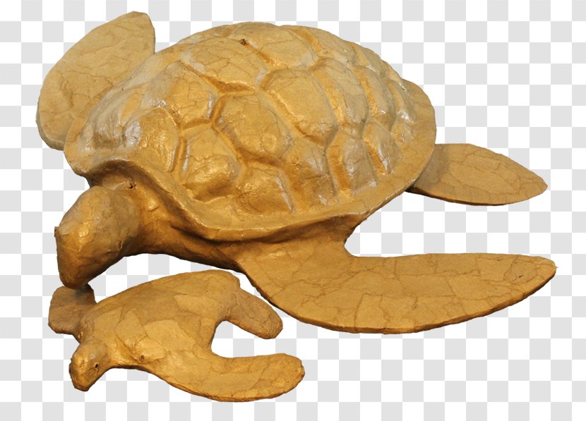 Urn Natural Burial Turtle Environmentally Friendly Tortoise Transparent PNG