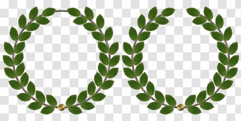 Michigan State University Laurel Wreath - Tree - Composer Transparent PNG