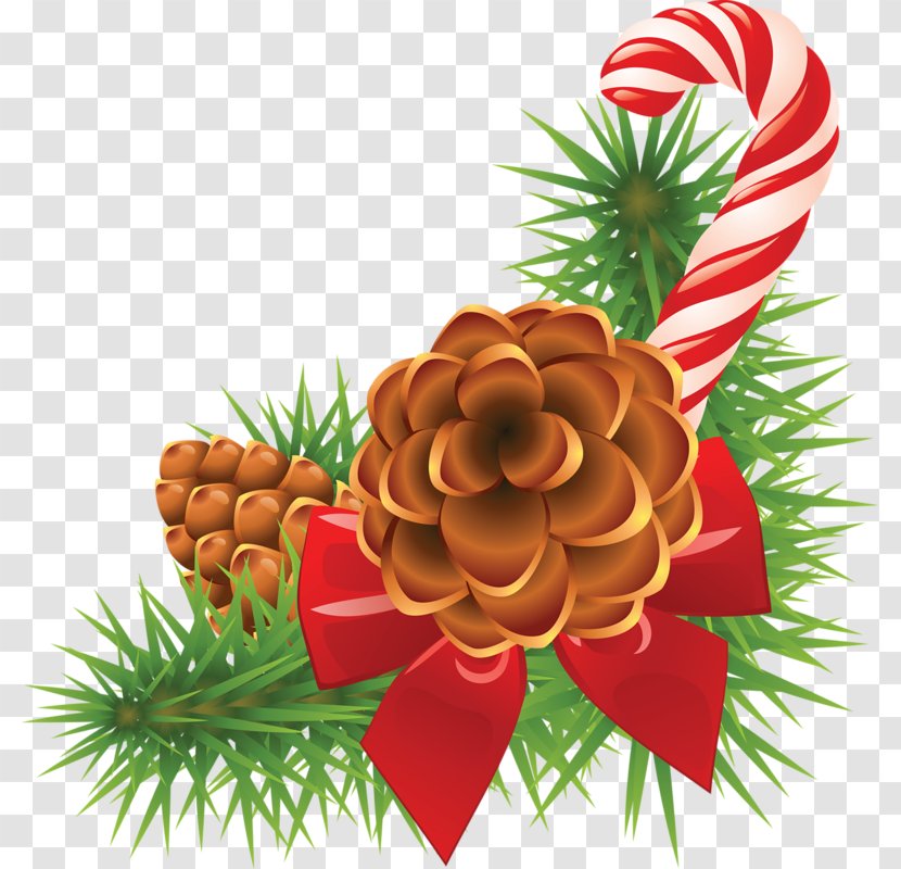 Clip Art Conifer Cone Christmas Day Pine - Tree Transparent PNG