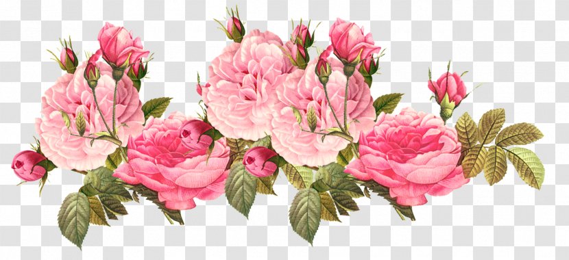 Clip Art Flower Floral Design Image - Chinese Peony Transparent PNG