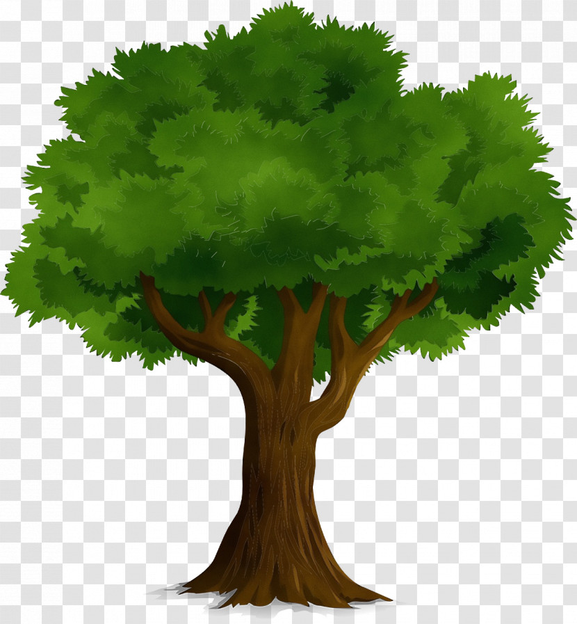 Tree Tree Planting Cartoon Oak Watercolor Painting Transparent PNG