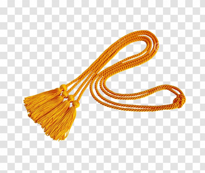 Rope Tassel Square Academic Cap Stock Photography Transparent PNG