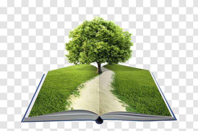 This Book Was A Tree: Ideas, Adventures, And Inspiration For Rediscovering The Natural World Stock Photography Royalty-free Shutterstock Transparent PNG