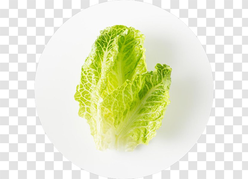 Leaf Vegetable Food Romaine Lettuce - Chipotle Mexican Grill Transparent PNG