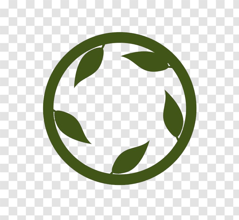 Leaf Logo - Information - The Combination Of Bay Leaves And Circles Transparent PNG