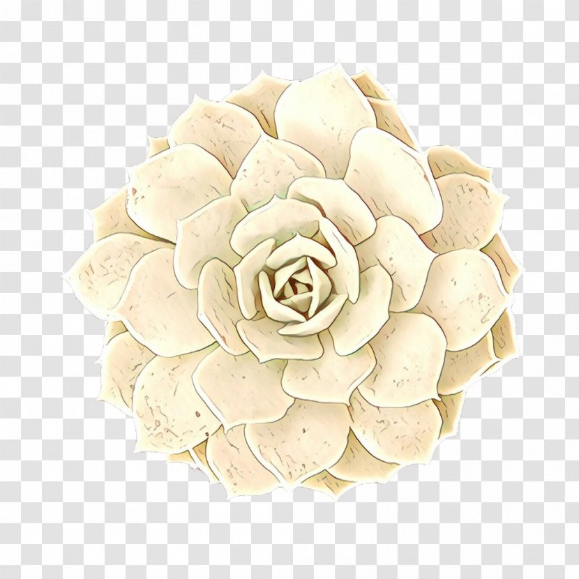 Cut Flowers Petal - Beige - White Transparent PNG