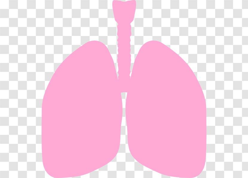 Love Pattern - Heart - Small Lungs Cliparts Transparent PNG