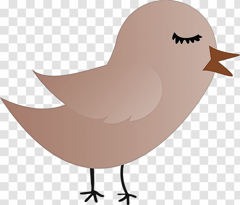 Bird Cartoon Beak Wing Transparent PNG