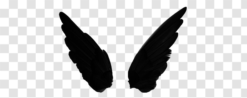 Wing Transparency And Translucency - Sticker - Editing Transparent PNG