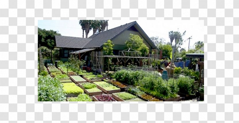 Organic Food Restaurant Garden House - Cooking Transparent PNG