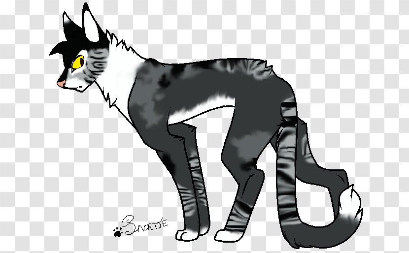 Cat Dog Horse Cartoon - Carnivoran Transparent PNG