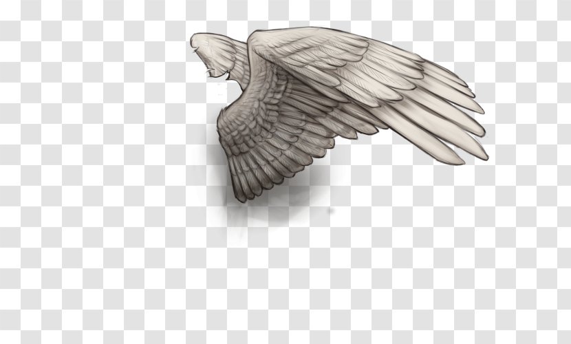 Bird 0 Hyena Feather Prince Nathan - Wing - White Wings Transparent PNG