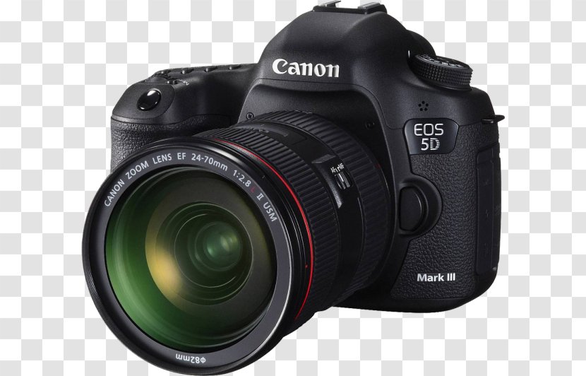 Canon EOS 5D Mark III Nikon D800 EF 24-70mm Digital SLR - Ef 2470mm - Camera Lens Transparent PNG