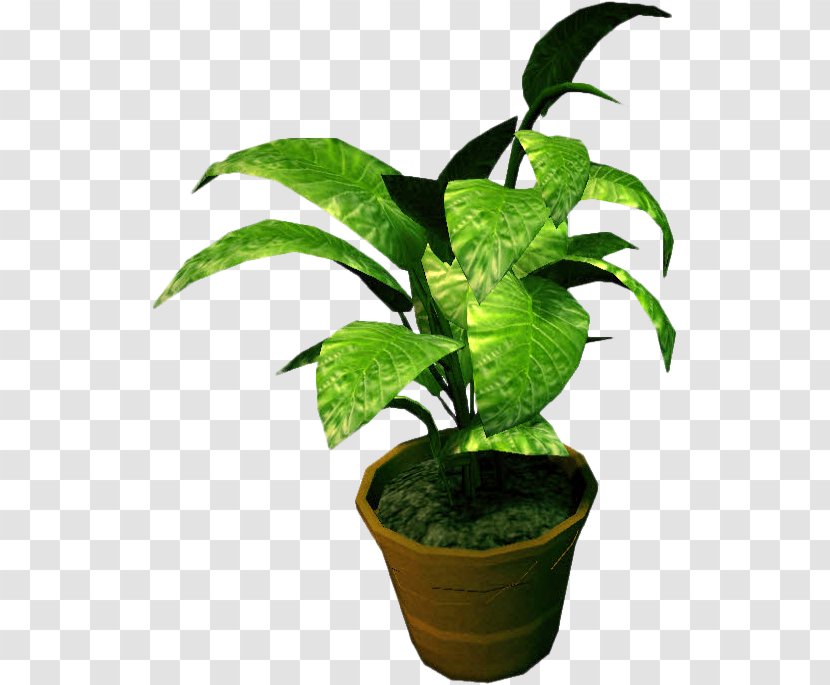 Houseplant Flowerpot Bonsai - Plants Transparent PNG