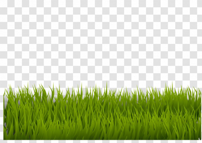 Lawn Desktop Wallpaper Clip Art - Grassland - Grass Transparent PNG
