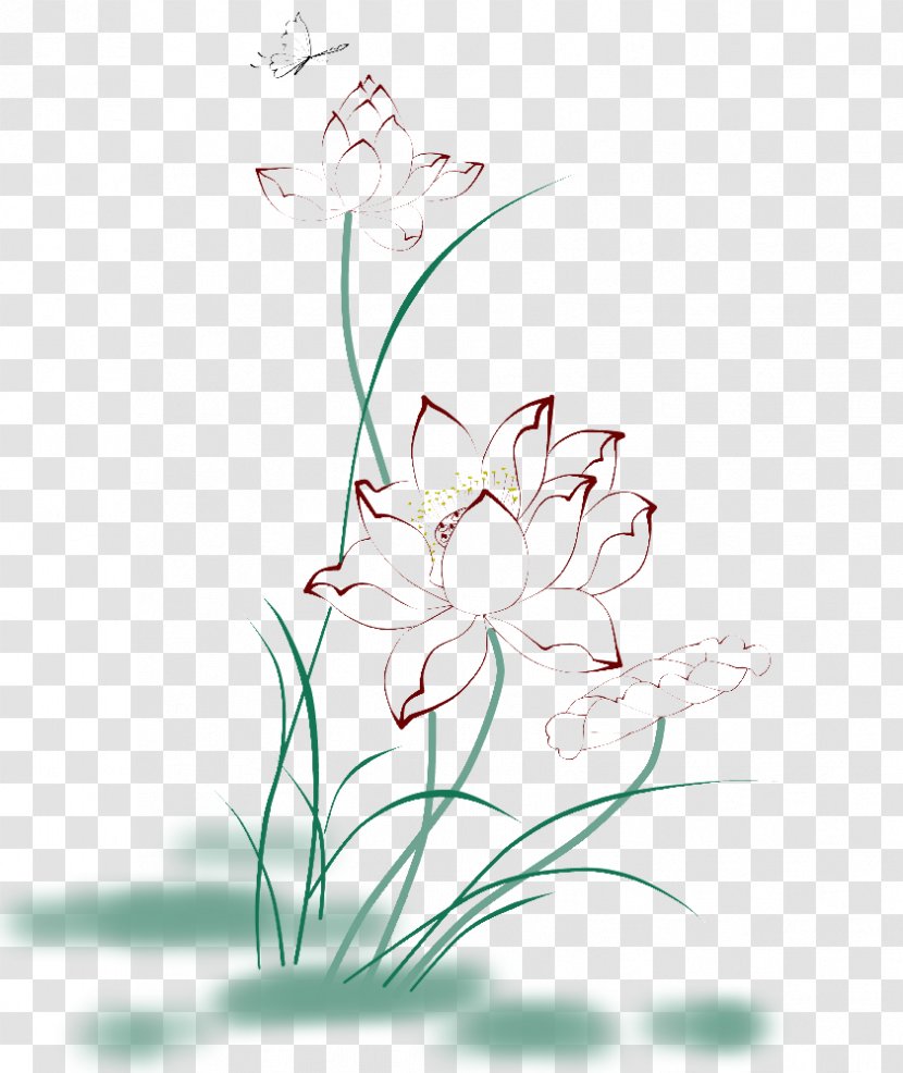 Image Clip Art Line Drawing Design - Floral - Lotus Transparent PNG